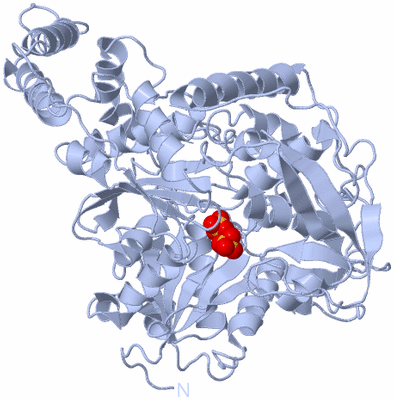 Image Biological Unit 1