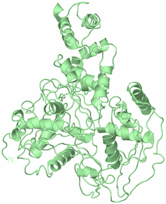 Image Biological Unit 2