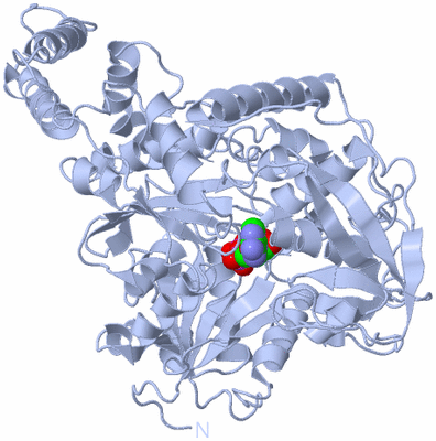 Image Biological Unit 1