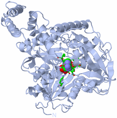 Image Biol. Unit 1 - sites