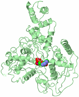 Image Biological Unit 2