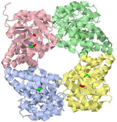 Image Asym./Biol. Unit