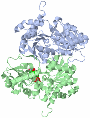 Image Asym./Biol. Unit