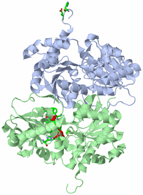 Image Asym./Biol. Unit - sites