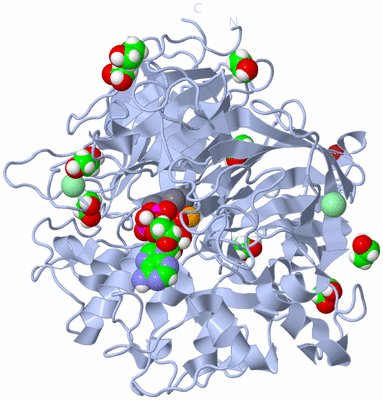 Image Biological Unit 1