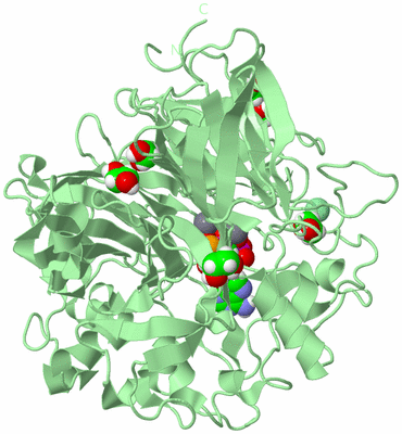 Image Biological Unit 2