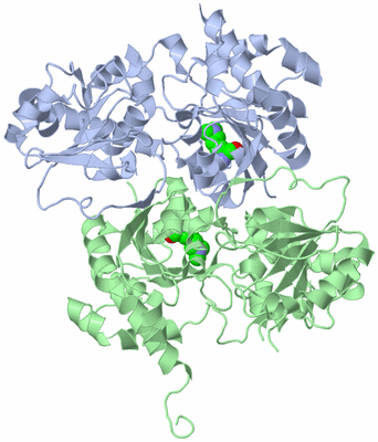 Image Asym./Biol. Unit