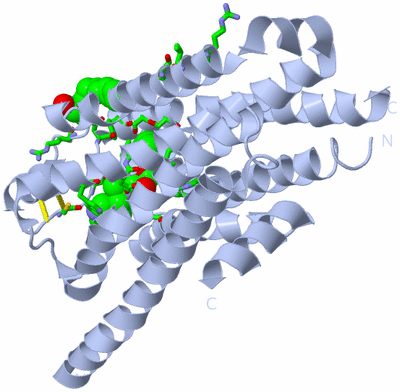 Image Biol. Unit 1 - sites