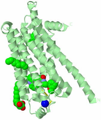 Image Biological Unit 2