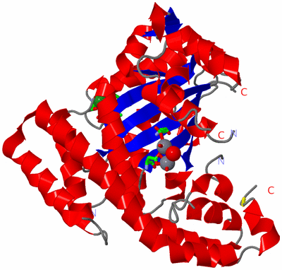 Image Asym./Biol. Unit - sites