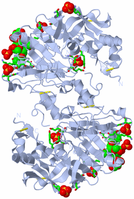 Image Biol. Unit 1 - sites