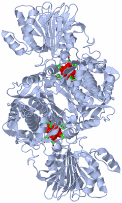 Image Biol. Unit 1 - sites