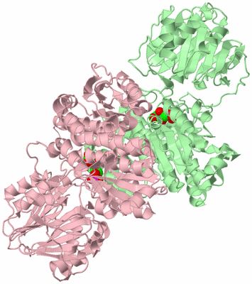 Image Biological Unit 2