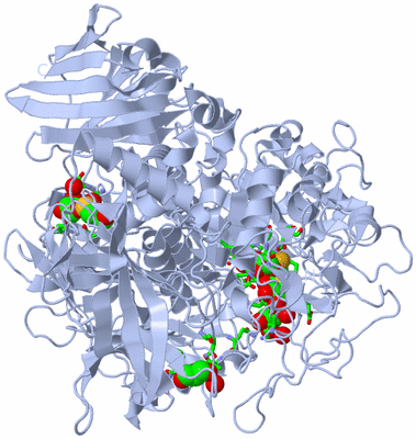 Image Biol. Unit 1 - sites