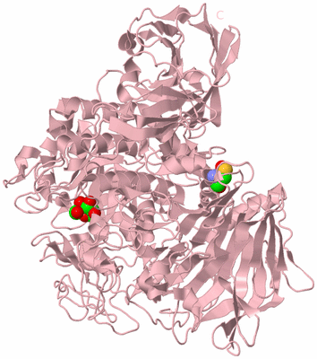 Image Biological Unit 3