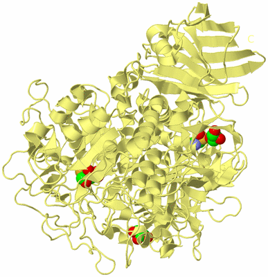 Image Biological Unit 4