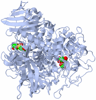 Image Biological Unit 1