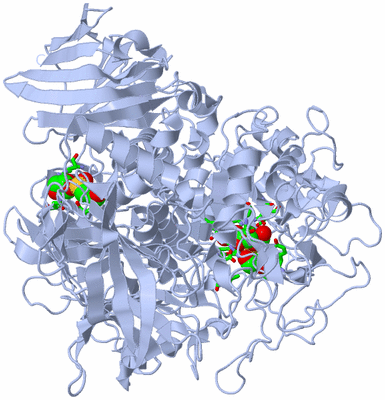 Image Biol. Unit 1 - sites