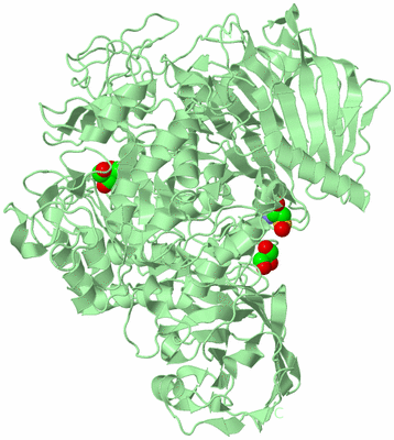 Image Biological Unit 2