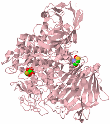 Image Biological Unit 3