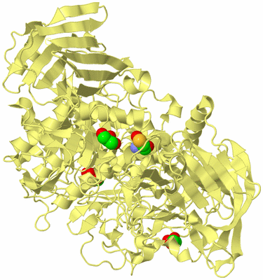 Image Biological Unit 4