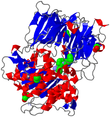 Image Asym./Biol. Unit