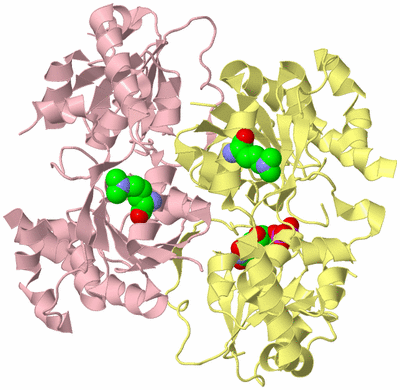 Image Biological Unit 2