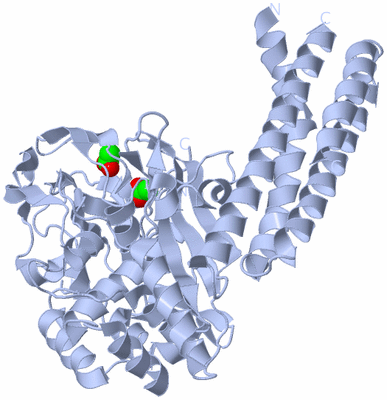 Image Biological Unit 1