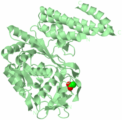 Image Biological Unit 2