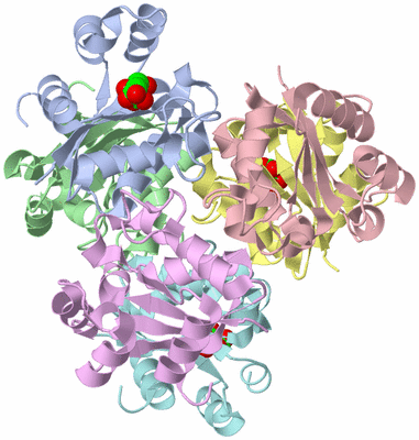 Image Asym./Biol. Unit