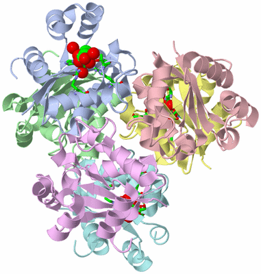 Image Asym./Biol. Unit - sites