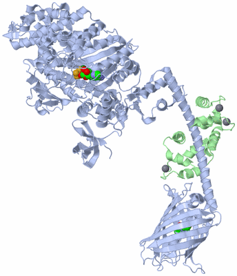 Image Asym./Biol. Unit