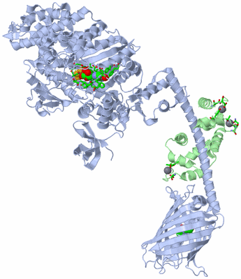 Image Asym./Biol. Unit - sites