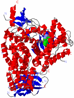 Image Asym./Biol. Unit