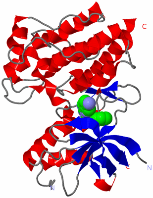 Image Asym./Biol. Unit