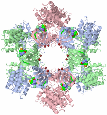 Image Biological Unit 1