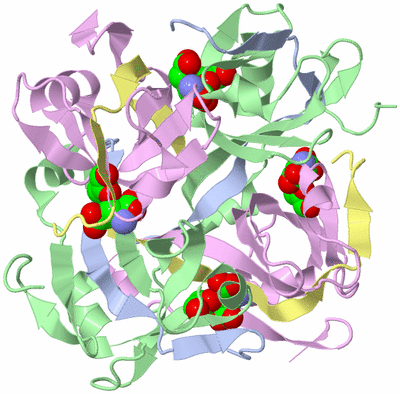 Image Biological Unit 1