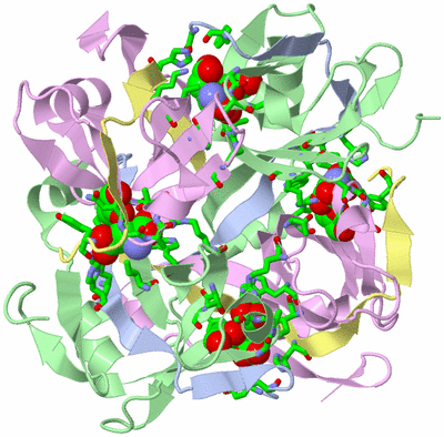 Image Biol. Unit 1 - sites