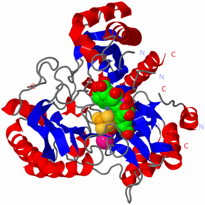 Image Asym./Biol. Unit