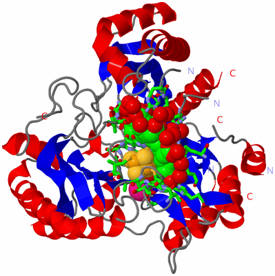 Image Asym./Biol. Unit - sites