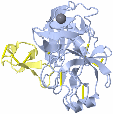 Image Biological Unit 1