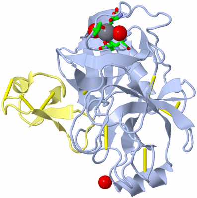 Image Biol. Unit 1 - sites