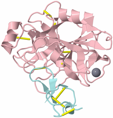 Image Biological Unit 3