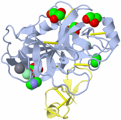 Image Biological Unit 1