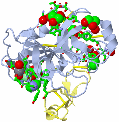 Image Biol. Unit 1 - sites