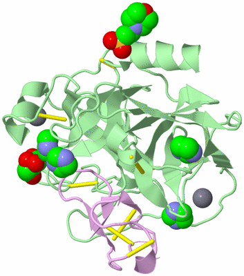 Image Biological Unit 2