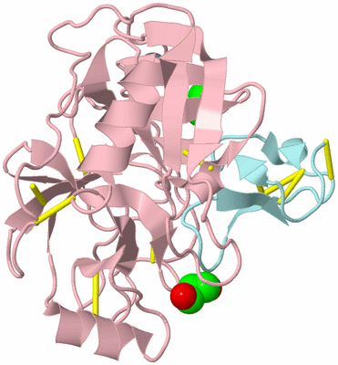 Image Biological Unit 3