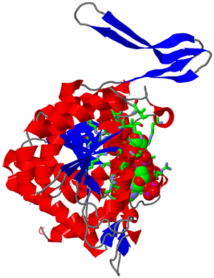 Image Asym. Unit - sites