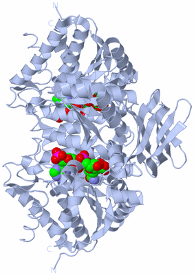 Image Biological Unit 1