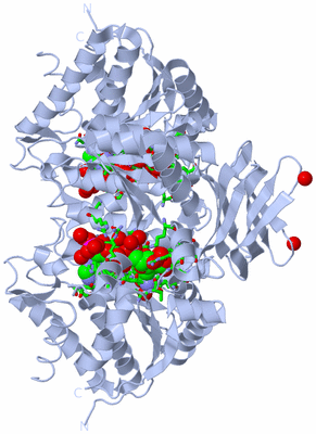 Image Biol. Unit 1 - sites